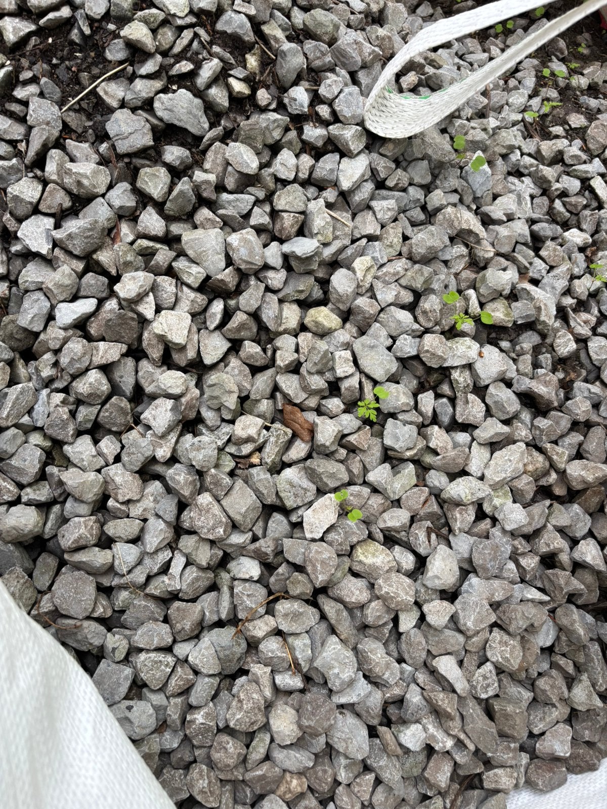 Gratis grijze kiezelstenen. Ongeveer 5 kuub., Tuin en Terras, Ophalen, Zo goed als nieuw, Grijs, Grind