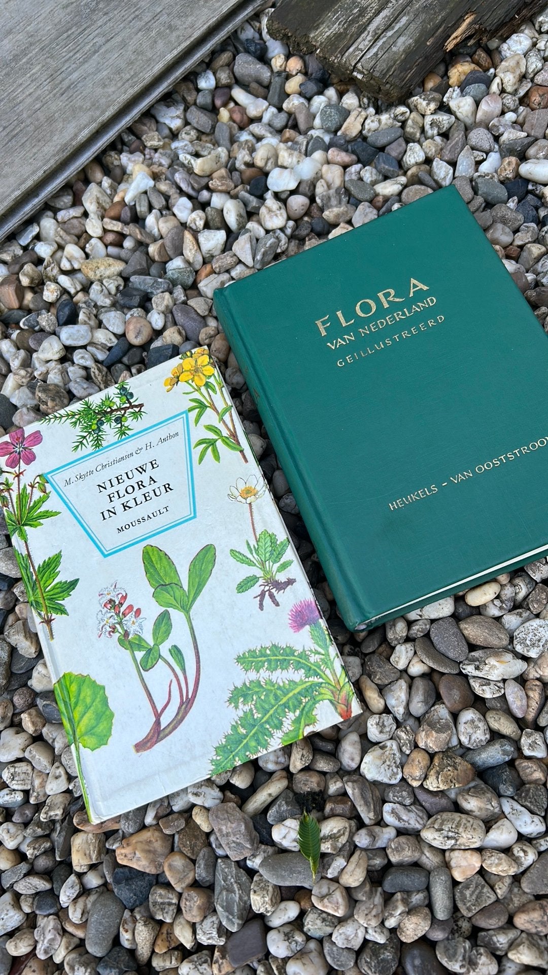 Nieuwe Flora in kleur & Flora van Nederland, Ophalen of Verzenden, Zo goed als nieuw, Bloemen, Planten en Bomen