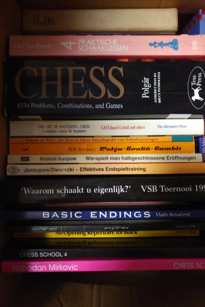 schaakboeken.. heel veel schaakboeken., Ophalen of Verzenden, Gelezen, Diverse auteurs, Denksport
