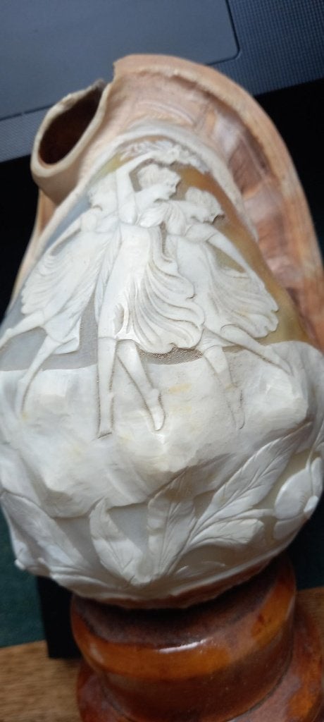 camee schelp, of rode helmschelp, Ophalen of Verzenden