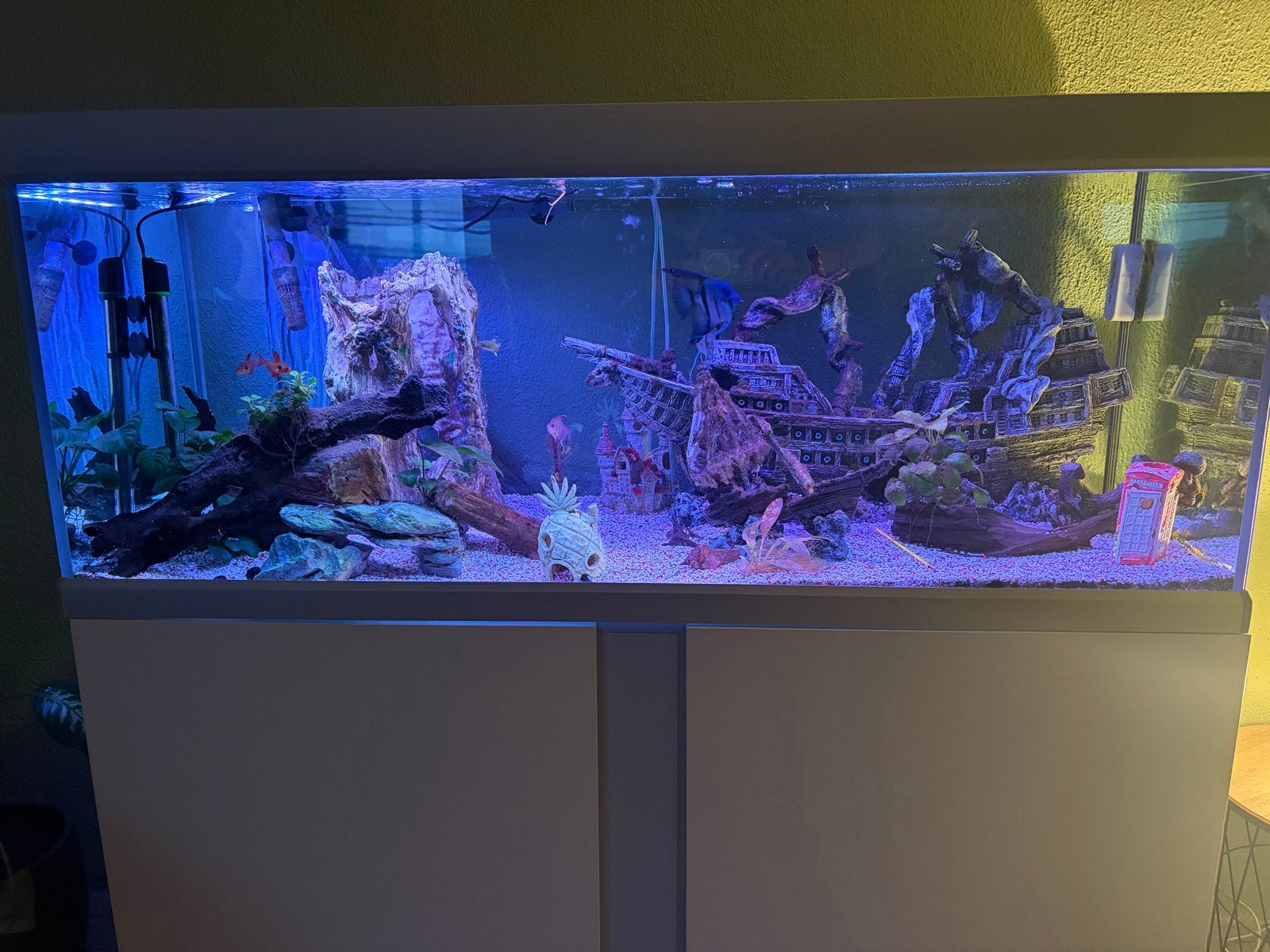 Aquarium met kast, Dieren en Toebehoren, Ophalen, Inclusief vissen, Zo goed als nieuw, Gevuld zoetwateraquarium