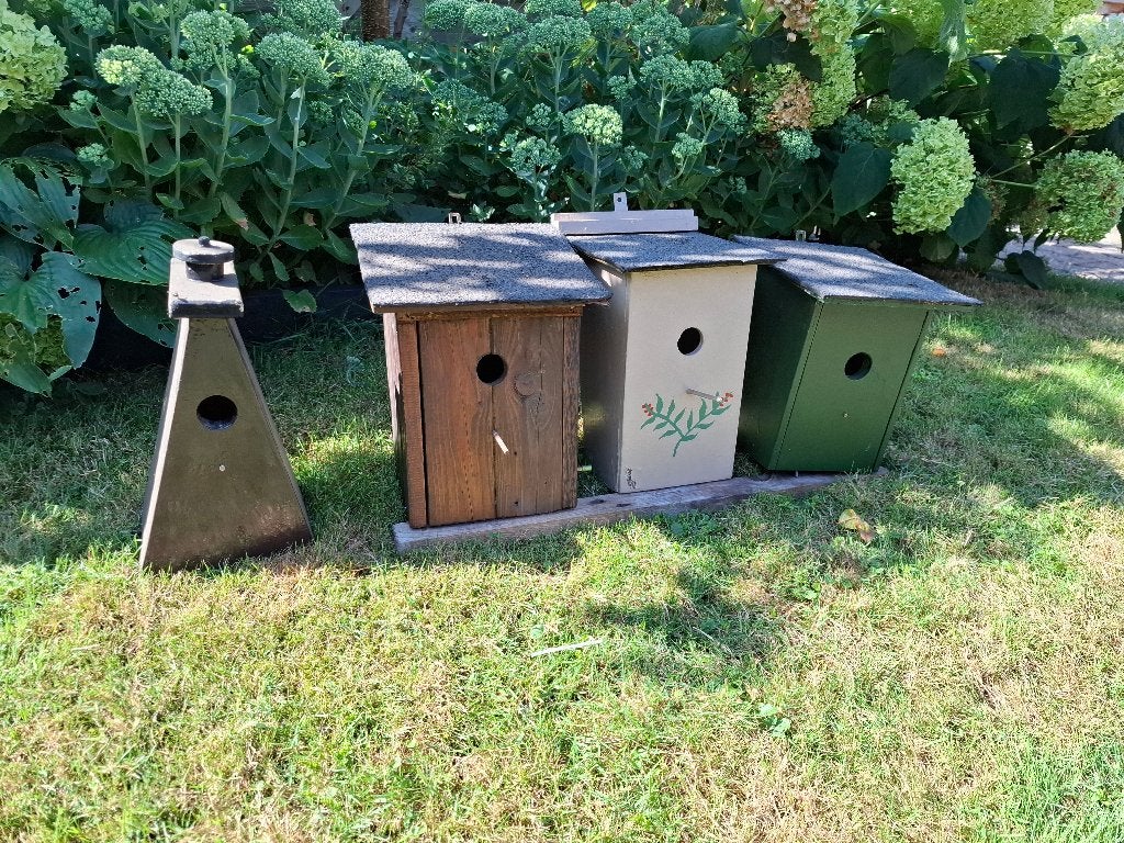 vogelhuisjes te koop, Ophalen of Verzenden, Nieuw