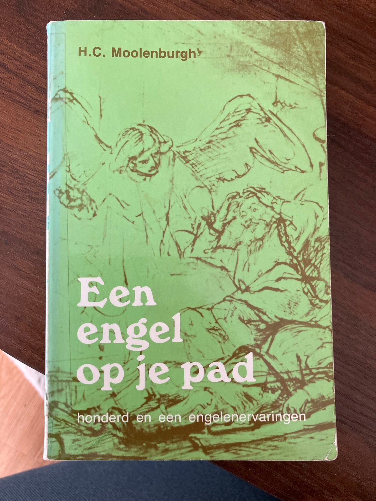 Een engel op je pad - H.C. Moolenburgh (Engelenervaringen), Boeken, Ophalen of Verzenden, Gelezen, Spiritualiteit algemeen, Achtergrond en Informatie
