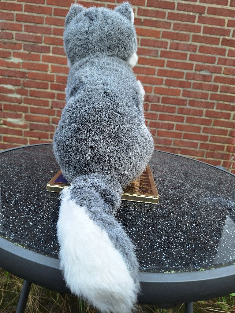 Foto 3 van Aangeboden : pluche speelgoedhond