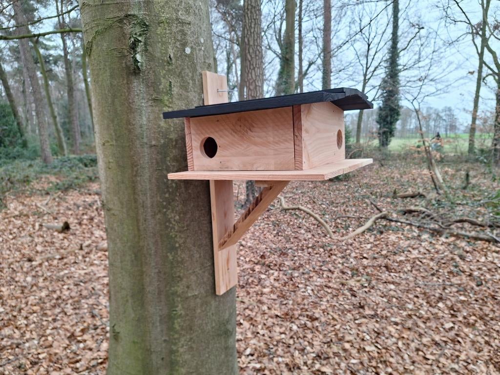 🐿🛖️ Eekhoorn Nestkast / Verblijf – Duurzaam & Handgemaakt!, Ophalen of Verzenden, Nieuw