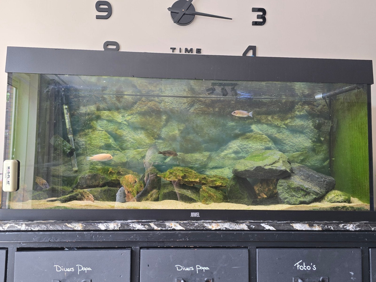 Juwel 240  compleet, Dieren en Toebehoren, Vissen | Aquaria en Toebehoren, Ophalen, Zo goed als nieuw, Leeg aquarium