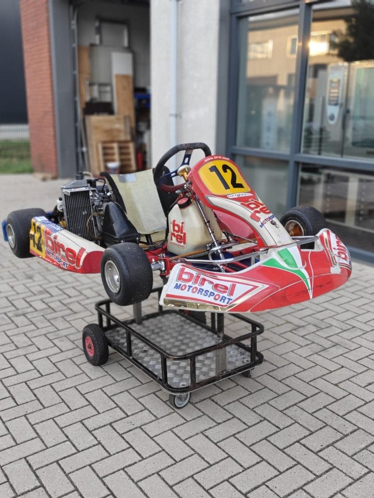 Birel Kart Rotax Max 125cc Senior, Ophalen, Gebruikt, Kart