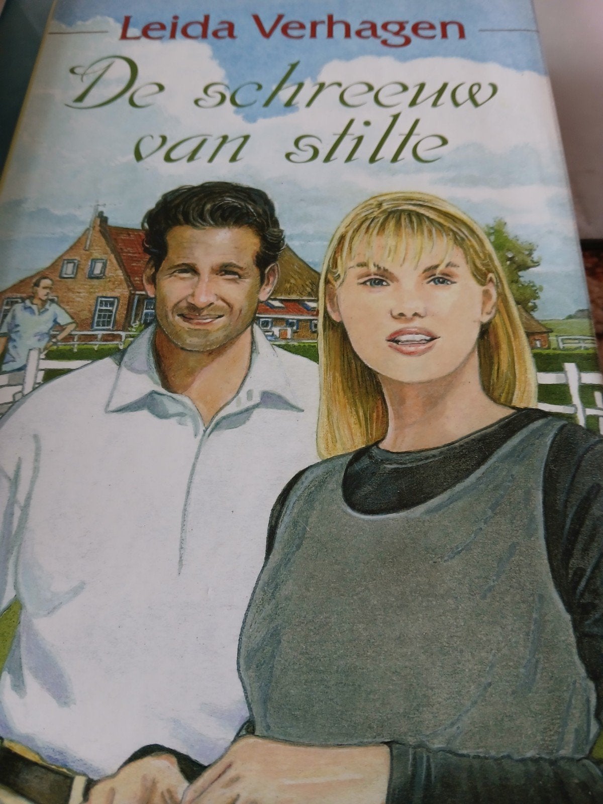 L. Verhagen - De schreeuw van stilte, Boeken, Streekboeken en Streekromans, Ophalen, Gelezen, L. Verhagen