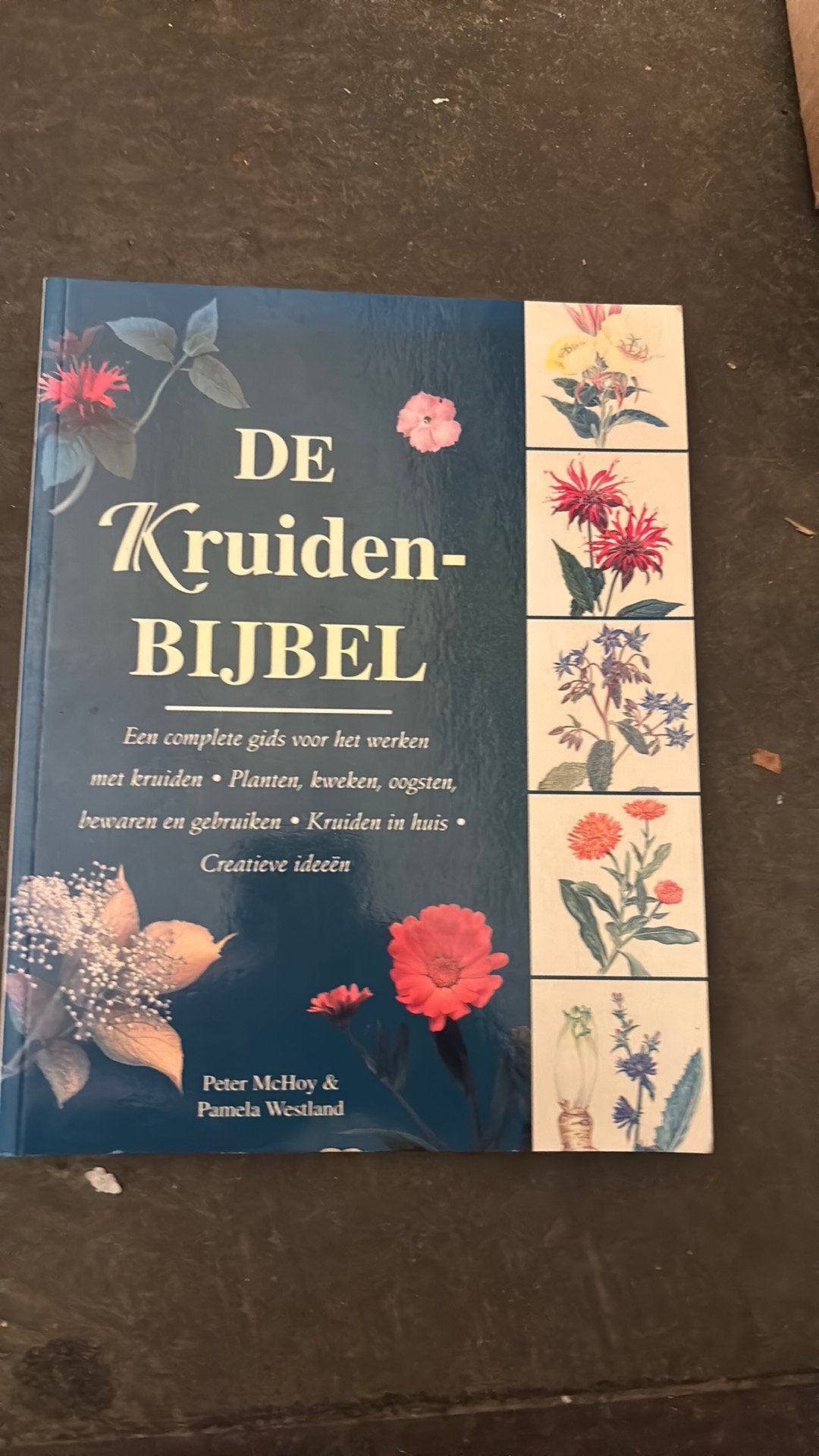 P. Westland - De Kruidenbijbel, Boeken, Ophalen of Verzenden, Zo goed als nieuw, P. Westland; P. MacHoy, Frankrijk