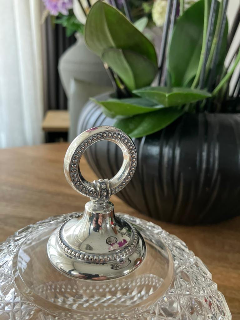 Kristallen kaasstolp, Ophalen of Verzenden, Zo goed als nieuw, Zilver, Trollbeads