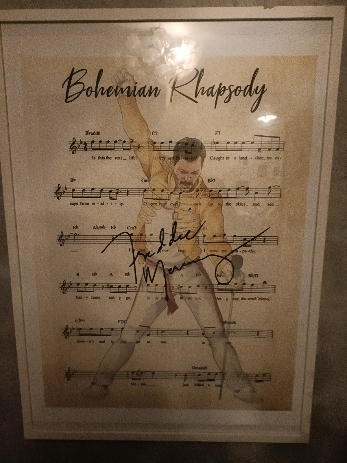 unieke print op doek( Freddie Mercury)50/70, Ophalen
