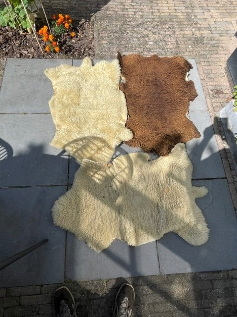 schapenvacht, Ophalen, 100 tot 150 cm, 50 tot 100 cm, Zo goed als nieuw