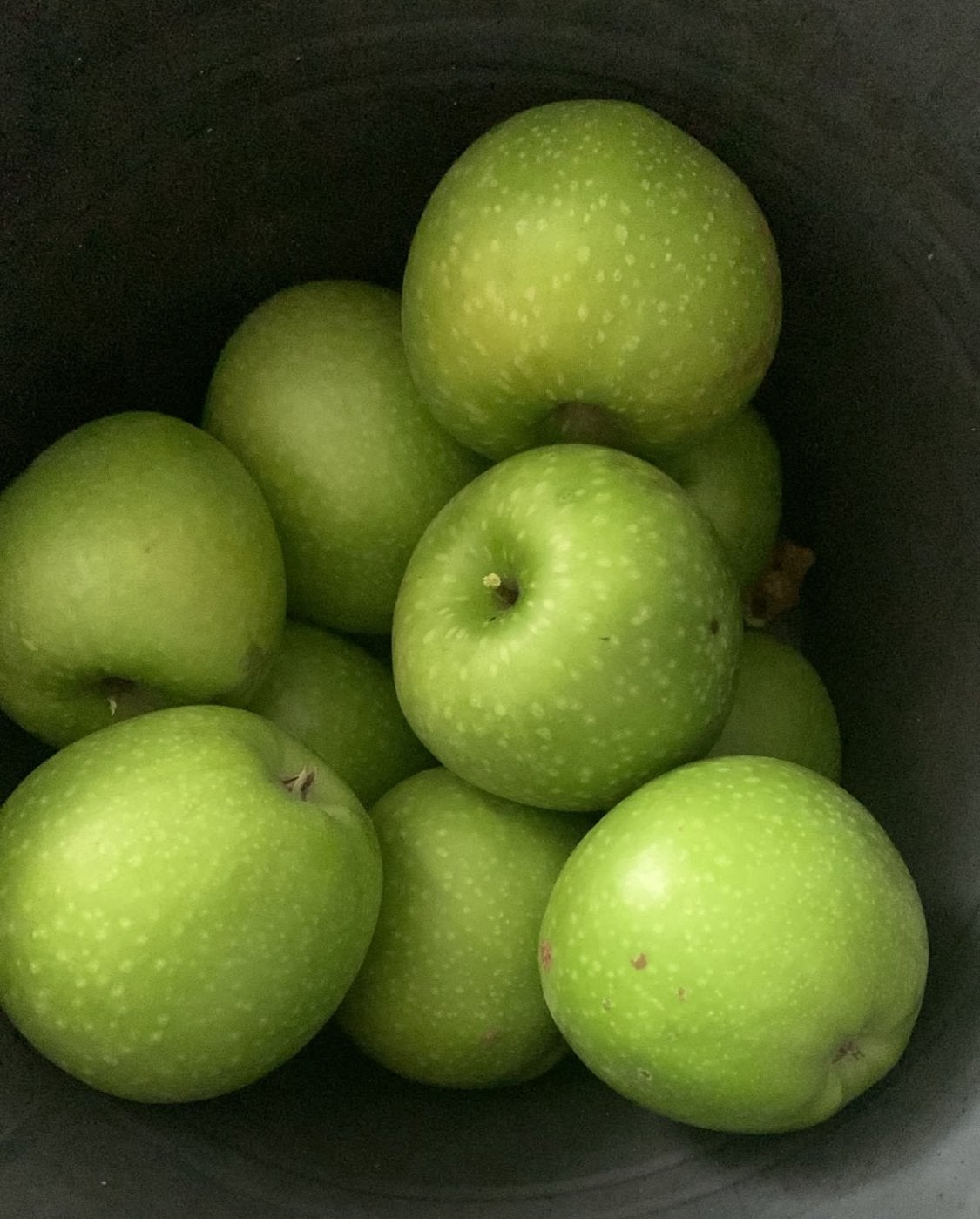 Biologische granny’s kilo €3, Ophalen