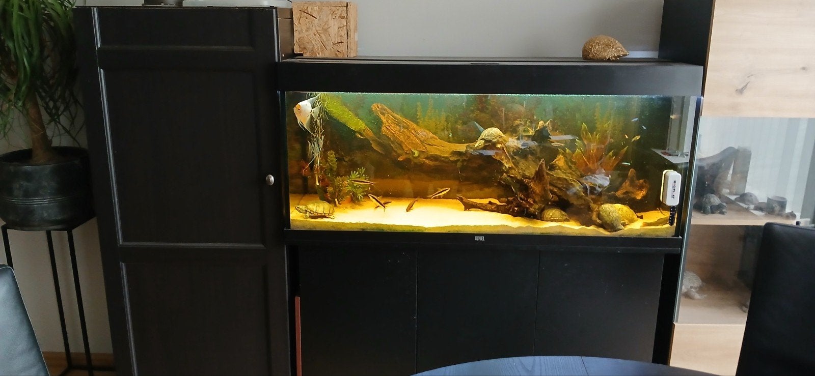 aquarium 120 cm met kast, Ophalen of Verzenden, Leeg aquarium