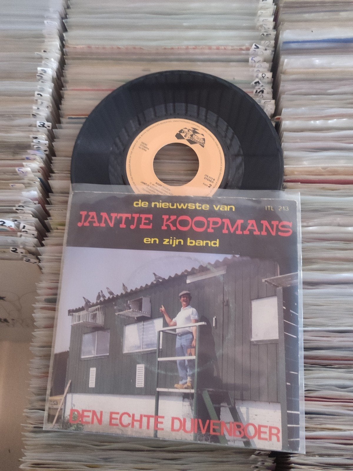 Jantje Koopmans rode rozen, Ophalen of Verzenden, Zo goed als nieuw, Overige formaten, Levenslied of Smartlap