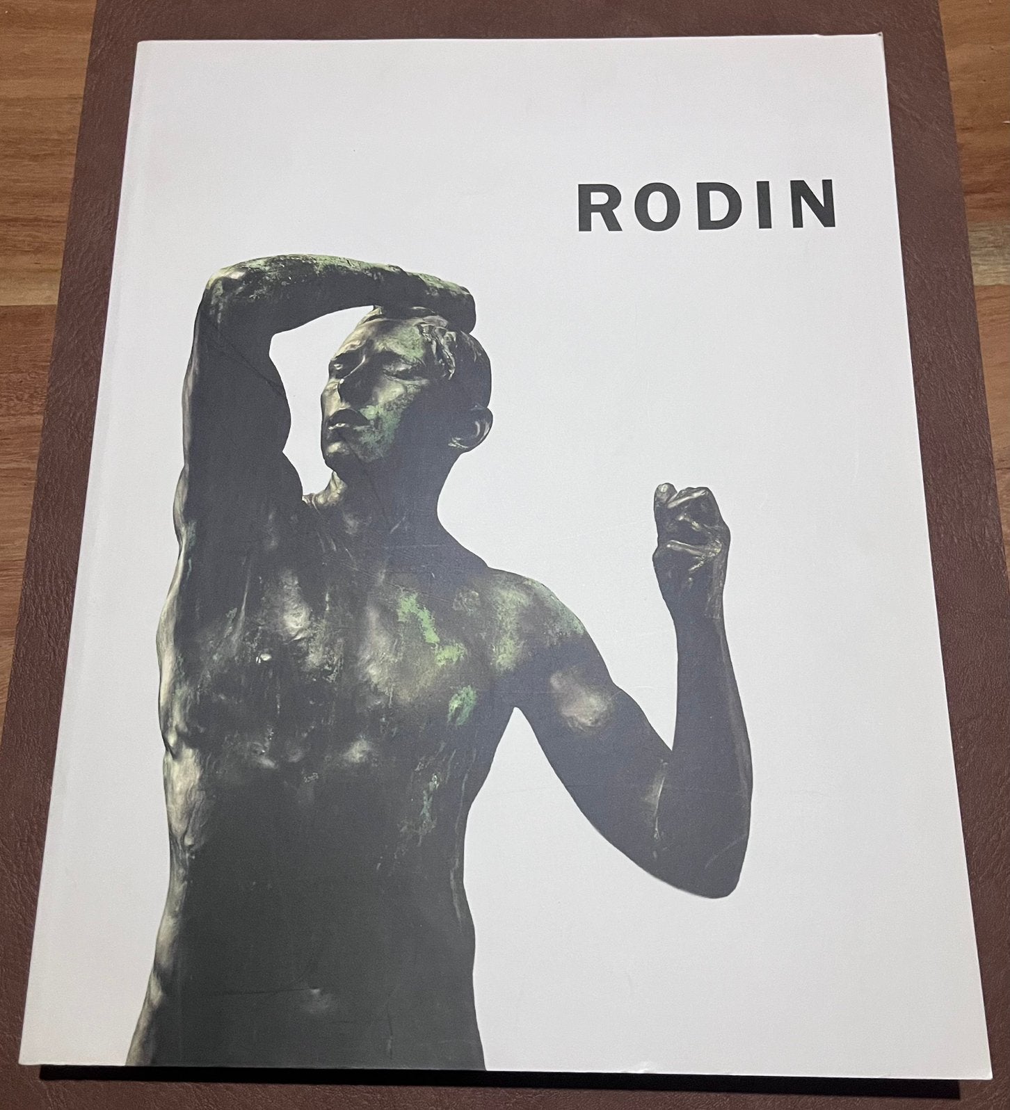 Boek - Rodin - 1995 - Nederlandstalig, Ophalen of Verzenden, Zo goed als nieuw