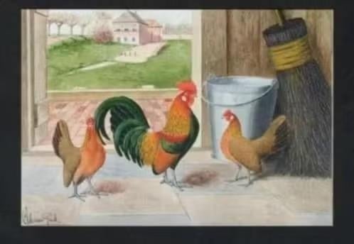 Pluimvee Kippen Hollandse Kriel Boerderij, Van Gink, Ophalen of Verzenden, 1980 tot heden, Ongelopen, Vogel