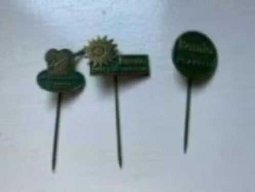 Speldjes Remia, Ophalen of Verzenden, Gebruikt, Merk, Speldje of Pin