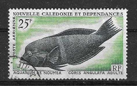 Nieuw-Caledonië Michel 417 gestempeld  VISSEN, Ophalen of Verzenden, Gestempeld