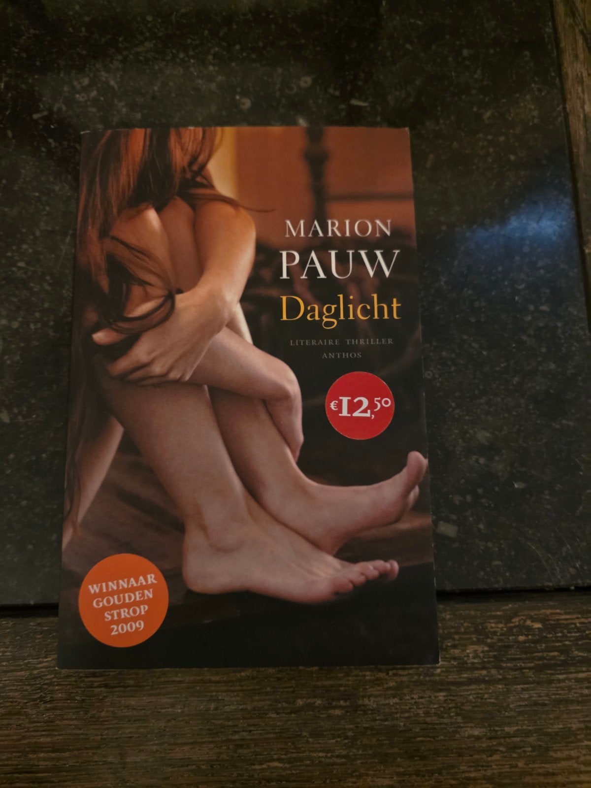 Marion Pauw - Daglicht (Literaire thriller), Boeken, Ophalen of Verzenden, Zo goed als nieuw, Marion Pauw, Nederland