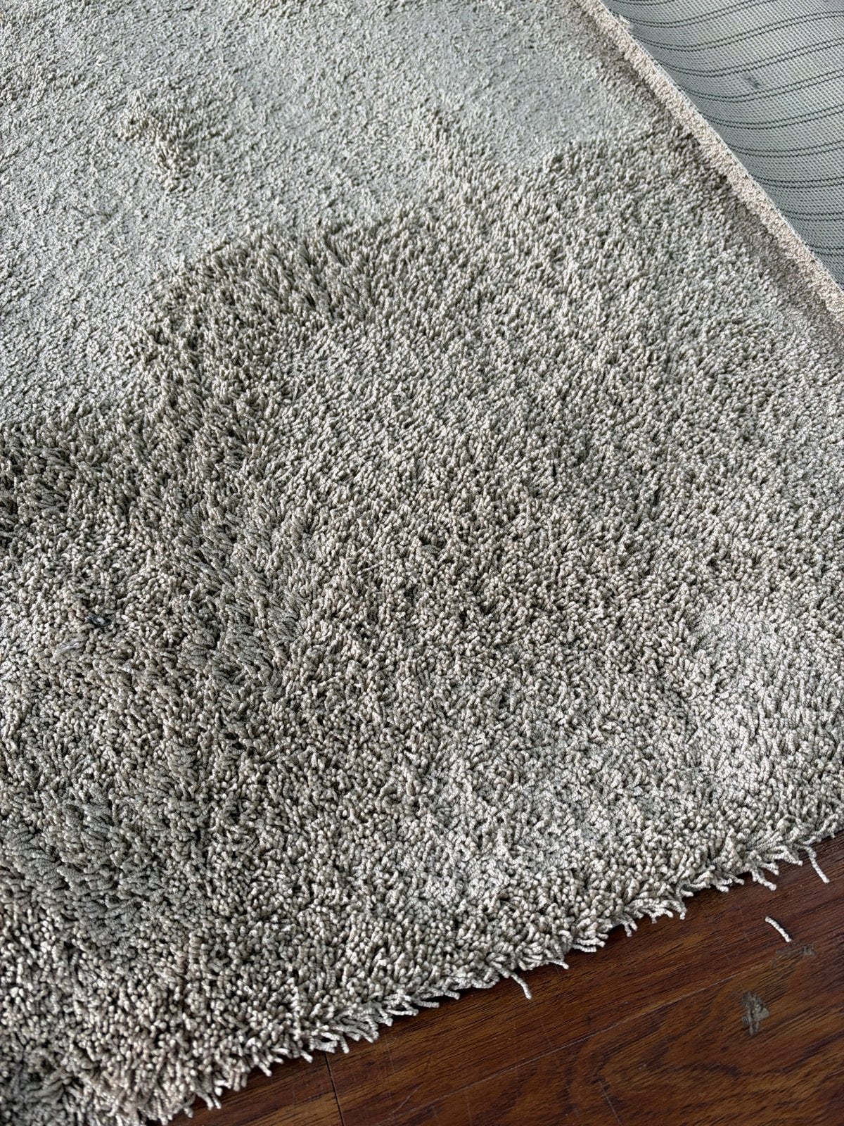 ‼️Nieuw Coupon Tapijt op Rol - 3.50x4m - Direct Leverbaar, Ophalen of Verzenden, Nieuw, Beige, Langharig