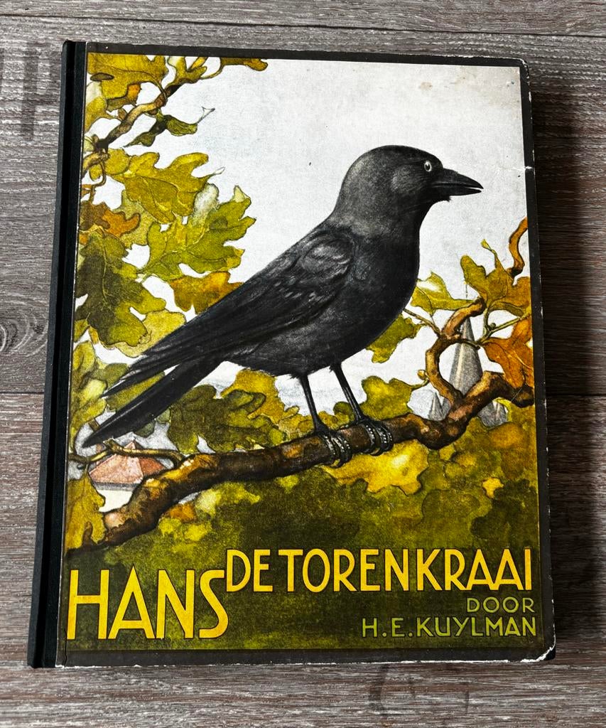 Hans de Torenkraai - H.E. Kuylman (1935), Boeken, Ophalen of Verzenden, Gelezen, Fictie algemeen
