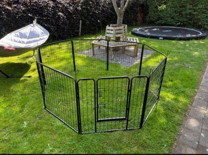 Puppyren te huur  5 euro per week, Ophalen, Zo goed als nieuw, 110 cm of meer, Minder dan 65 cm