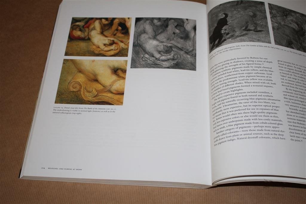 Rubens & Brueghel. A Working Friendship., Ophalen of Verzenden, Zo goed als nieuw