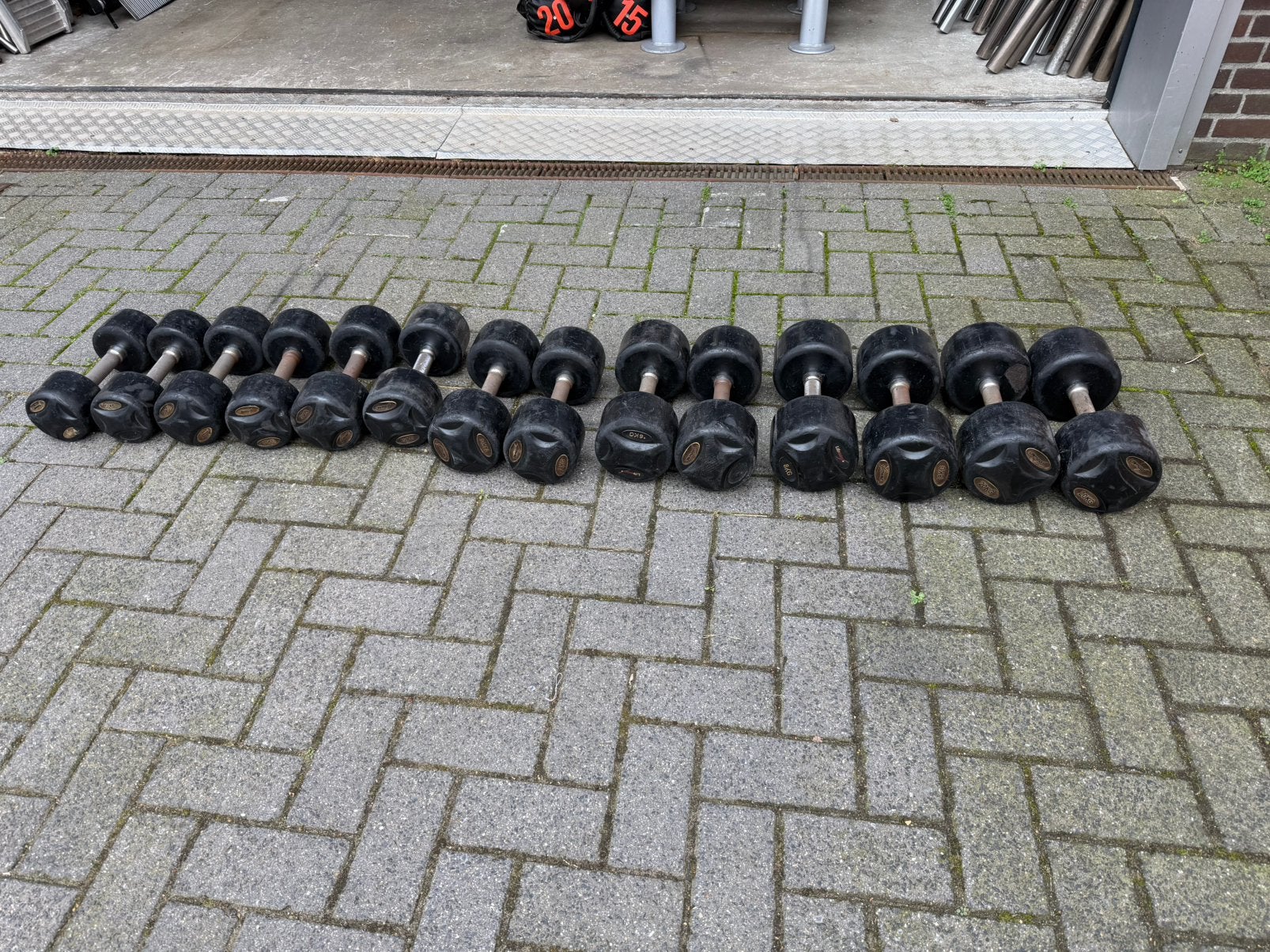 Lifemaxx vaste Dumbells 9kg t/m 20kg, Ophalen, Gebruikt, Dumbbell