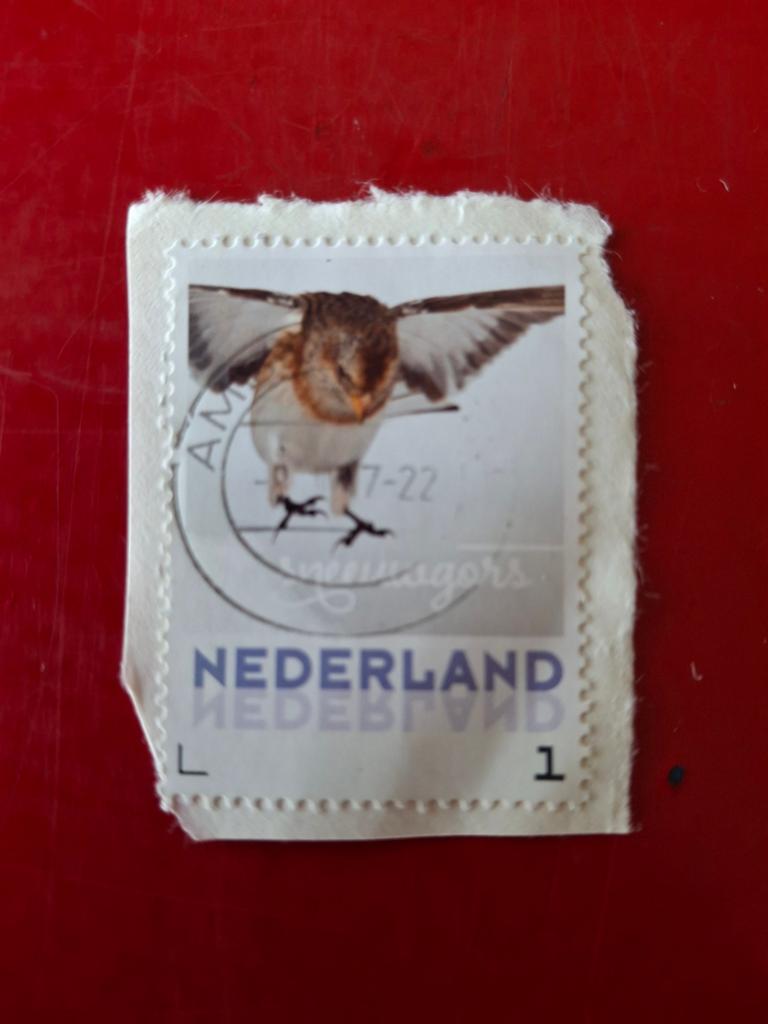 Nederlandse postzegel met vogel, gestempeld, Postzegels en Munten, Ophalen of Verzenden, Na 1940, Gestempeld