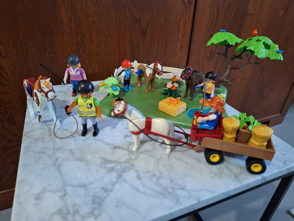 2 setsPlaymobil Paardenmanege met Figuren en Accessoires, Ophalen, Gebruikt, Complete set