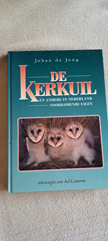 J. de Jong - De kerkuil, Ophalen, Zo goed als nieuw, J. de Jong