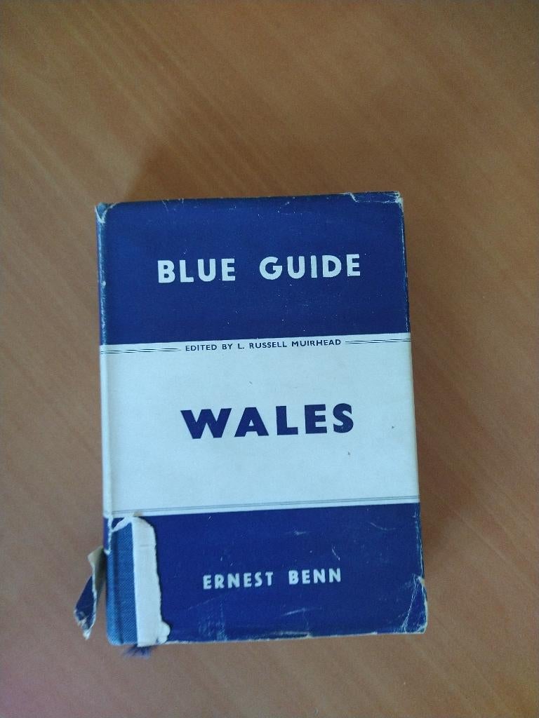 Wales - Tne Blue Gide, Europa, Ophalen of Verzenden, Reisgids of -boek, Gelezen