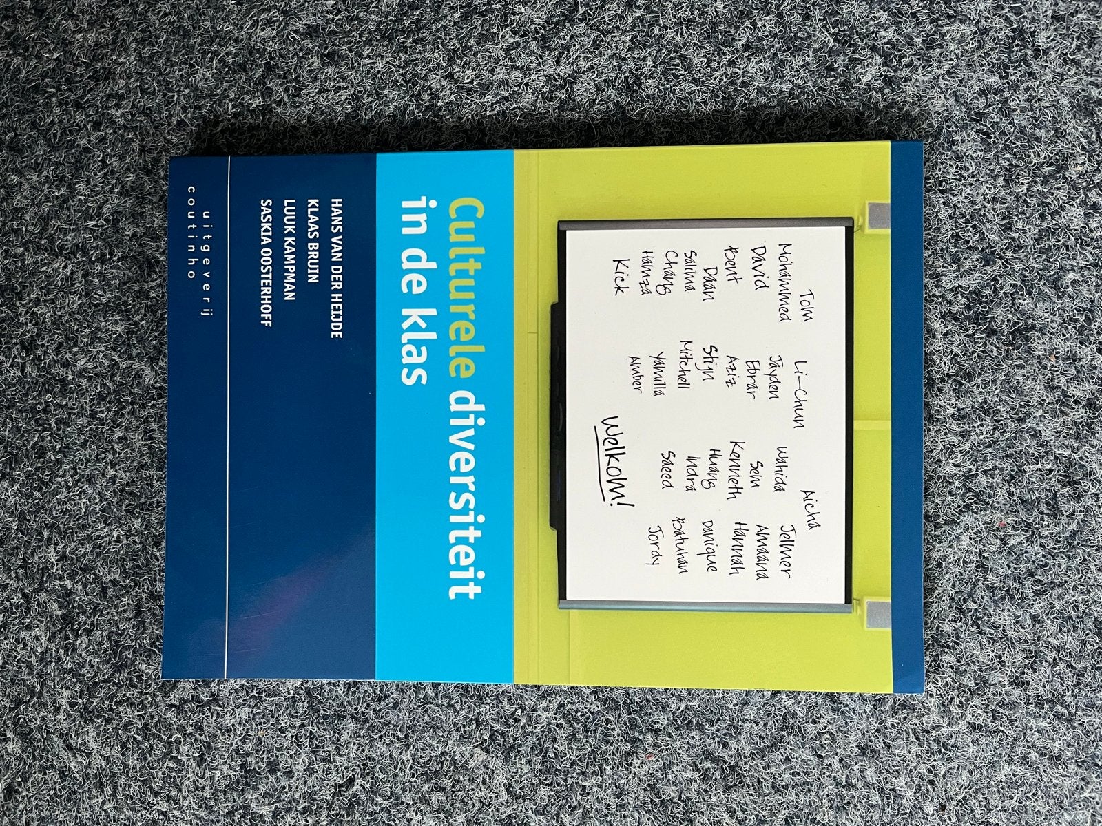 Culturele diversiteit in de klas - Studieboek, Ophalen of Verzenden, Gamma, Zo goed als nieuw, HBO