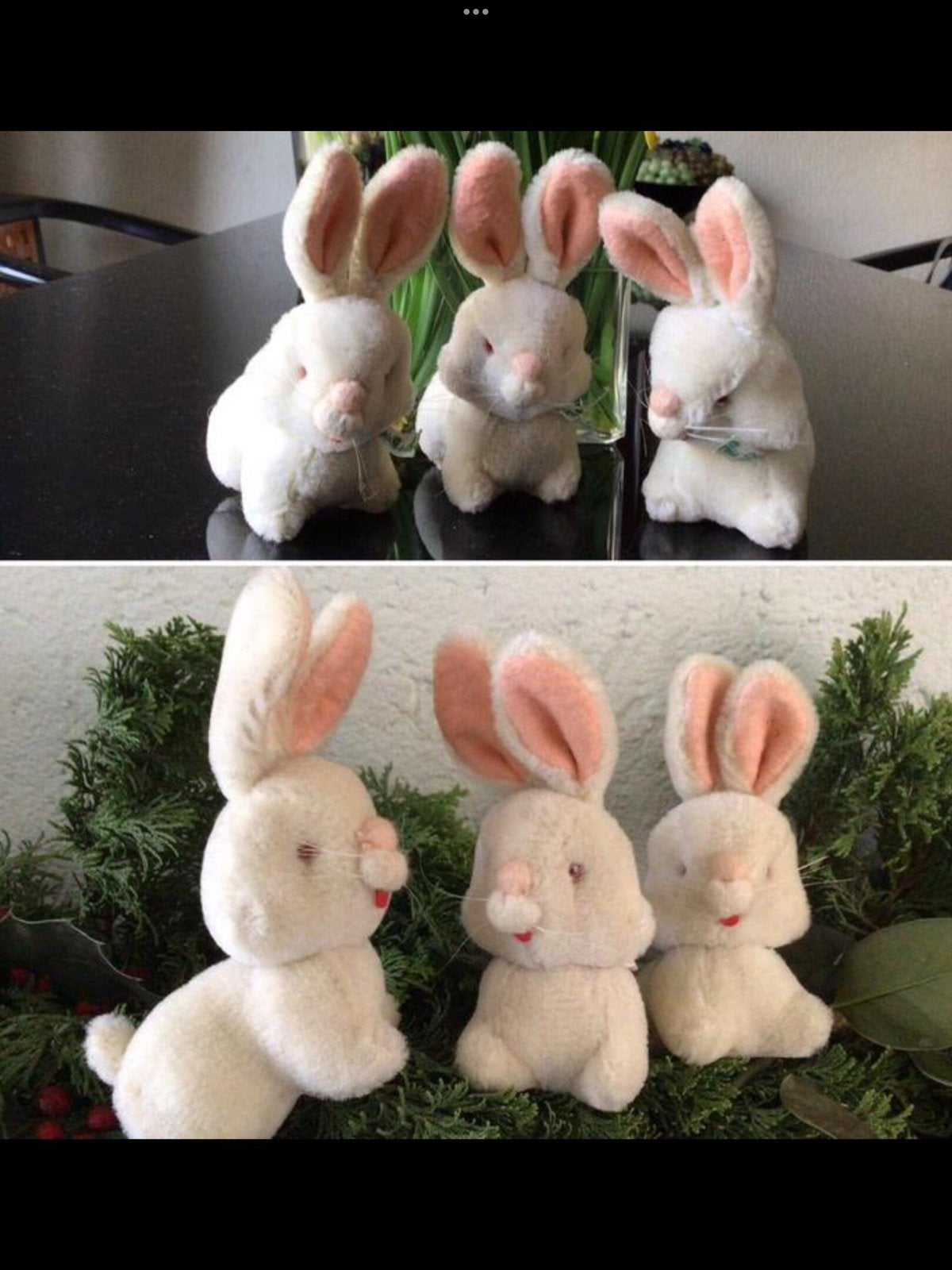 Pop, Steiff,” 3 ANTIEK/OUDE PLUCHE HAASJES” LEUK!, Antiek en Kunst, Verzenden