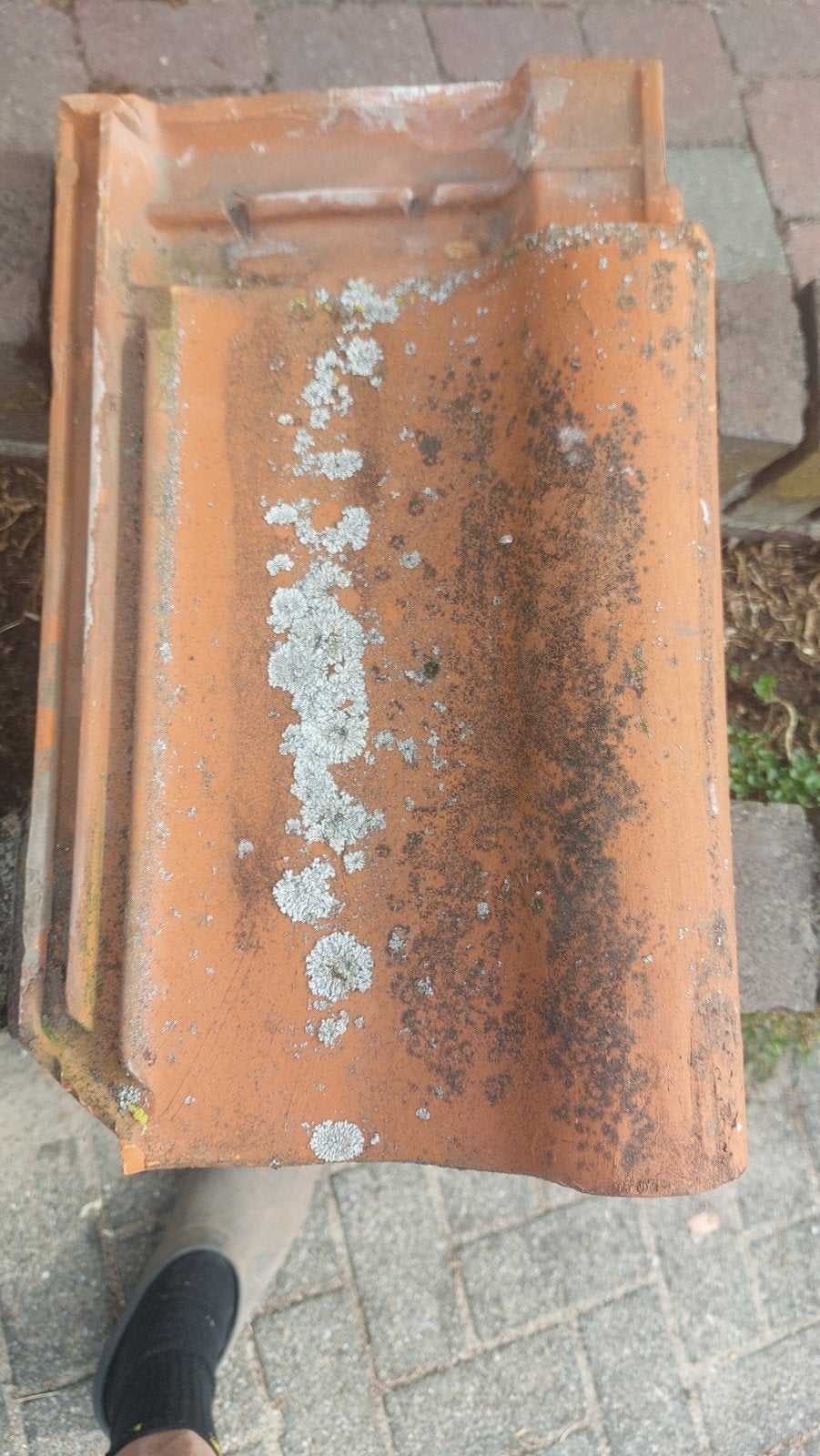 gezocht: kantpan holle mulden, Doe-het-zelf en Verbouw, Dakpannen en Dakbedekking, Ophalen, Steen of Klei, 15 m² of meer, Dakpannen