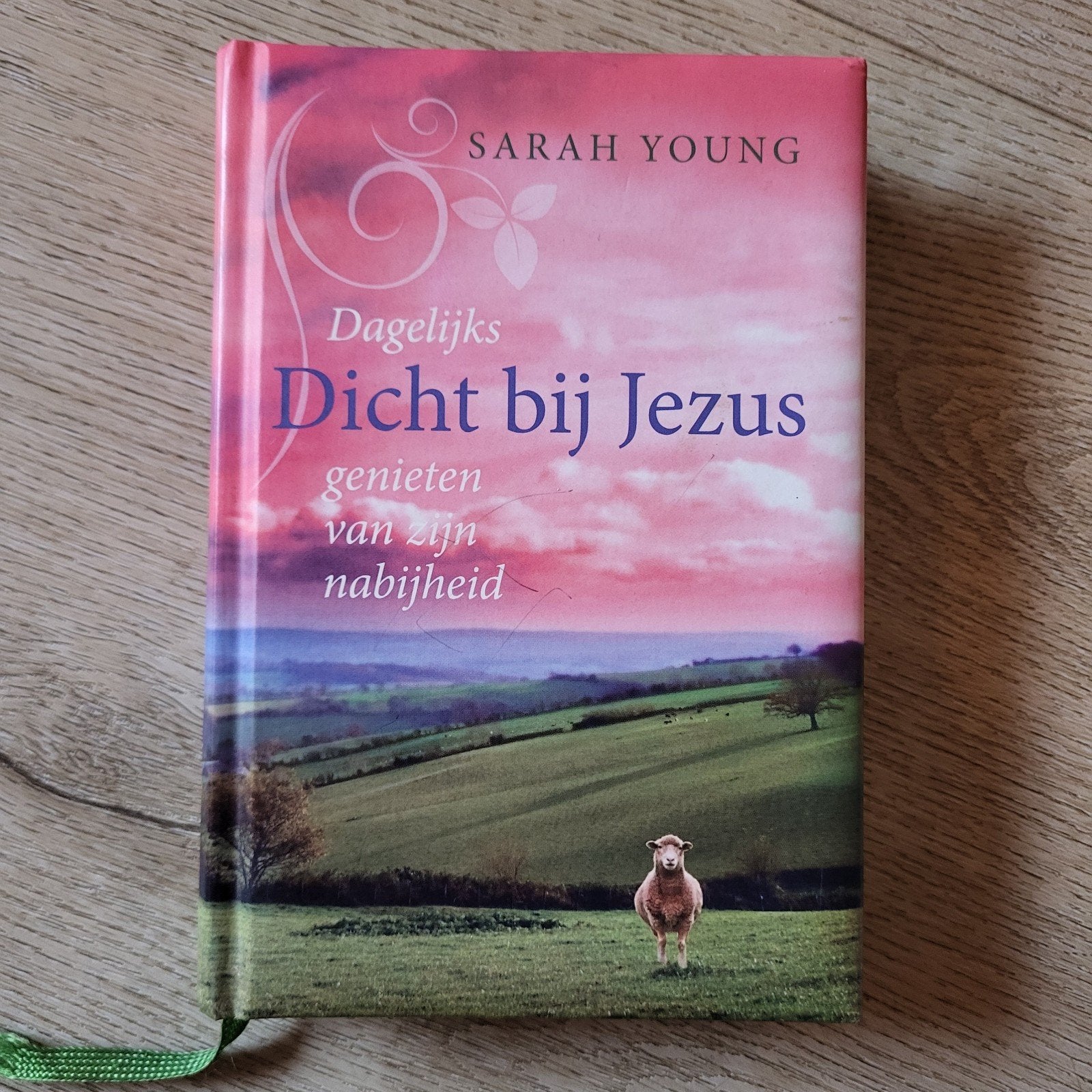 Sarah Young - Dicht bij Jezus, Boeken, Sarah Young, Christendom | Protestants, Ophalen of Verzenden, Zo goed als nieuw