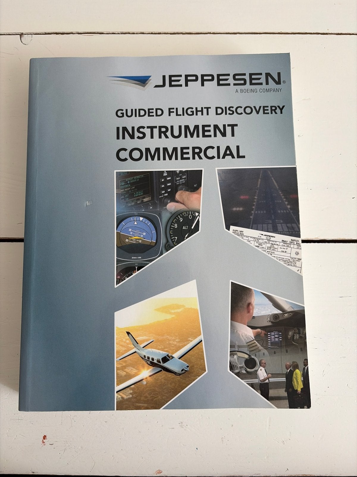 Jeppesen Guided Flight Discovery Instrument Commercial, Ophalen of Verzenden, Beta, Zo goed als nieuw, Niet van toepassing