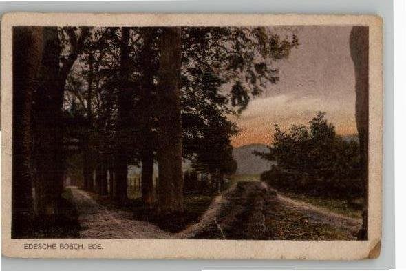 Ede Edesche Bosch uitg Fa. Blokker, Verzamelen, Ansichtkaarten | Nederland, Verzenden, 1920 tot 1940, Ongelopen, Gelderland