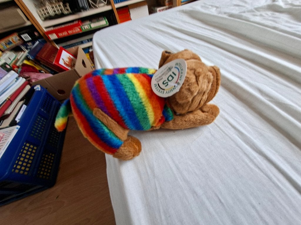 knuffel hond, Ophalen of Verzenden, Zo goed als nieuw, Hond