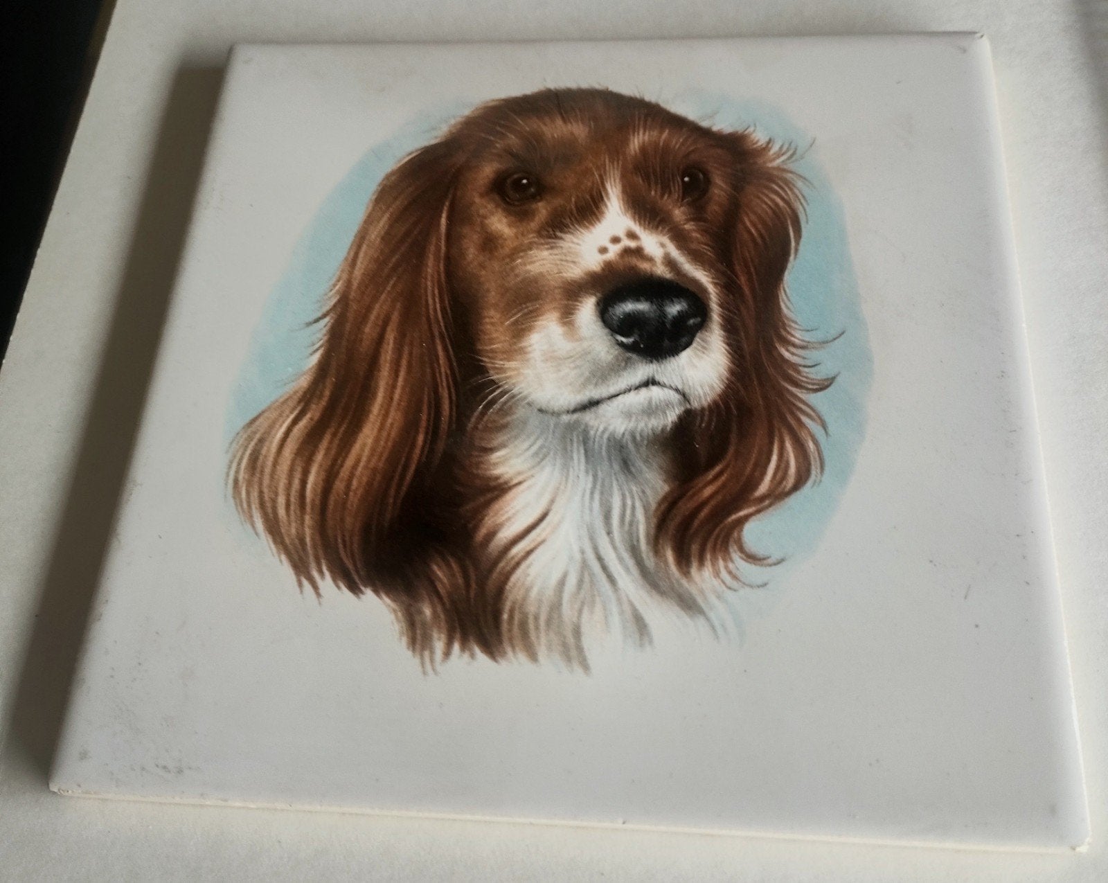 prachtig wandtegeltje geen opgeplakt plaatje, Antiek en Kunst, Ophalen