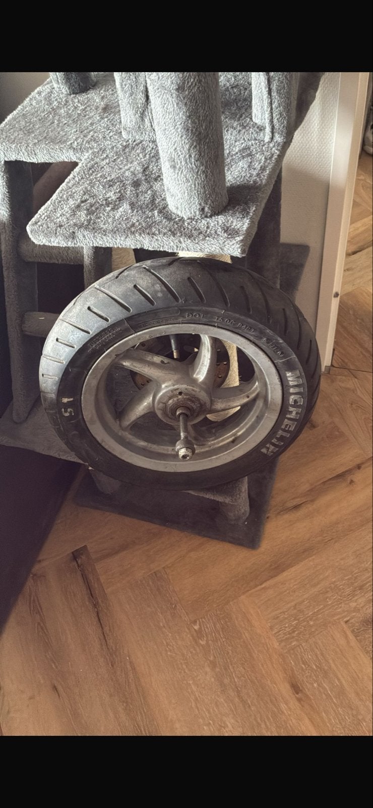 Zip type 3 velg met goede band, Ophalen of Verzenden, Gebruikt
