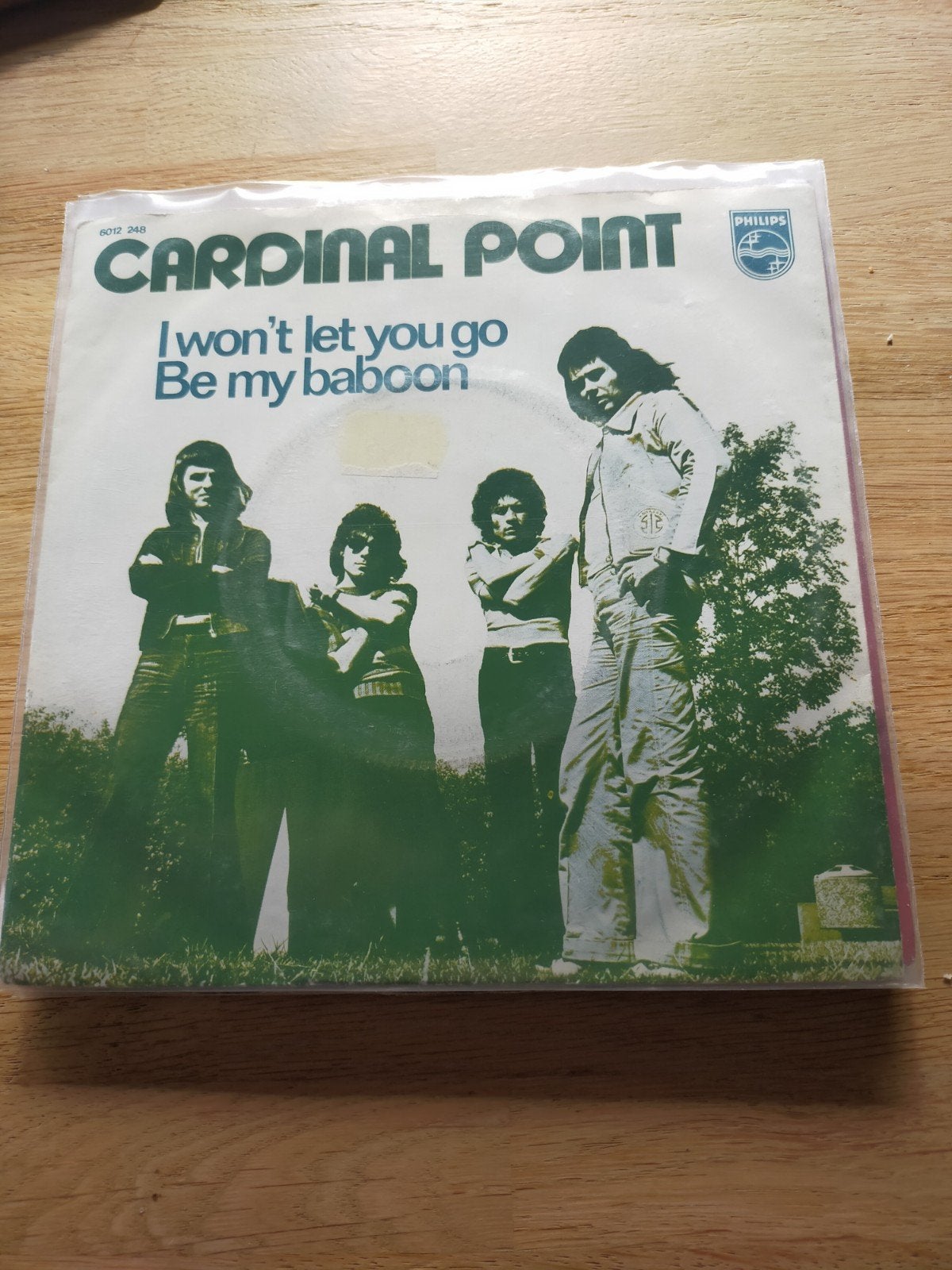 Cardinal Point , i won't let you go, Ophalen of Verzenden, Zo goed als nieuw, Pop
