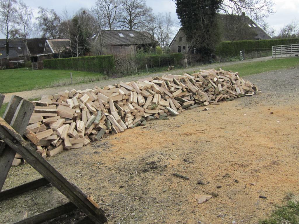 Te koop: Brandhout, Tuin en Terras, Haardhout, 6 m³ of meer, Ophalen, Essenhout, Blokken