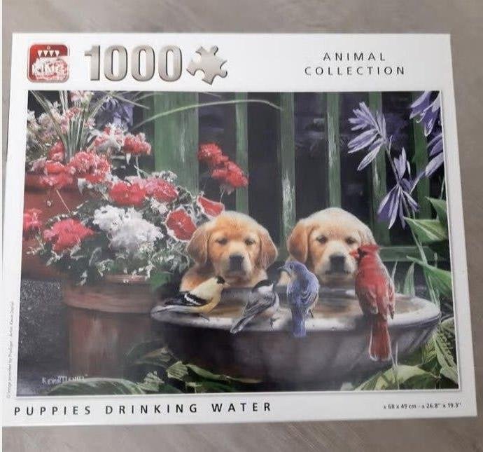 puzzel van 1000 stukjes, Ophalen of Verzenden, 500 t/m 1500 stukjes, Zo goed als nieuw, Legpuzzel