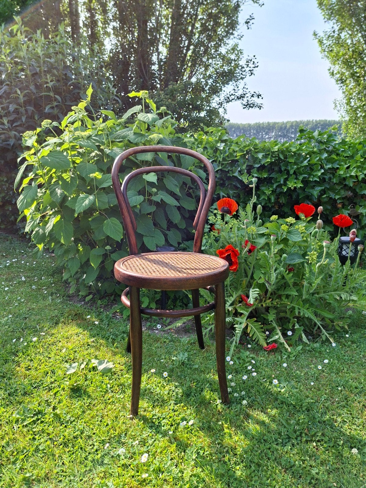 Antieke Thonet stoel., Ophalen