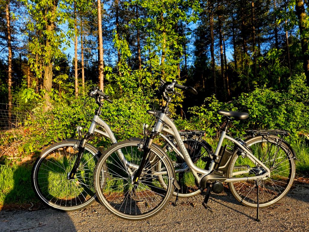 Prachtige ebikes FLYERSET, SPARTA & STELLA VA € 795, Overige merken, Ophalen of Verzenden, Zo goed als nieuw, 51 tot 55 cm