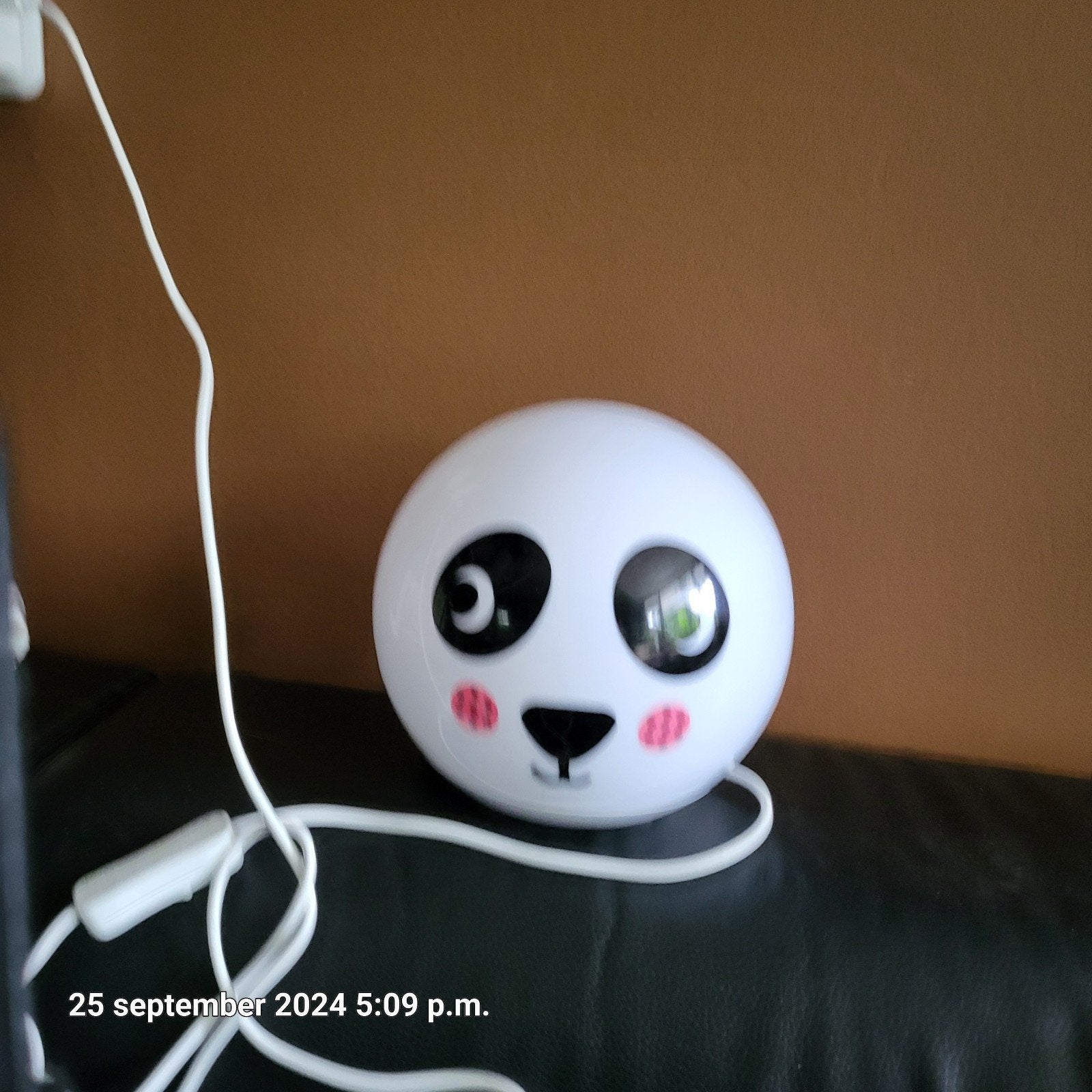 Kinder lamp, Ophalen
