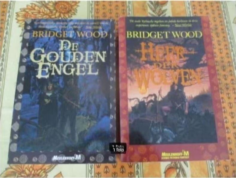 2 Mooie Fantasy Boeken van Bridget Wood, Ophalen of Verzenden, Zo goed als nieuw