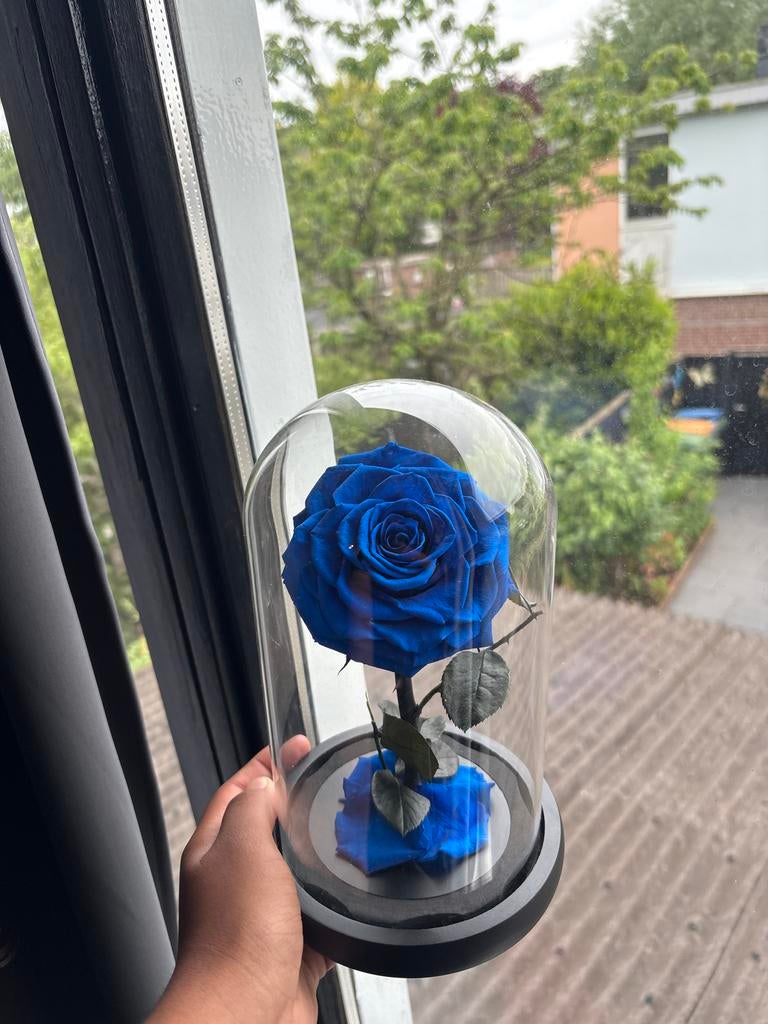 Blauwe roos, Ophalen of Verzenden, Zo goed als nieuw, Blauw, Overige materialen
